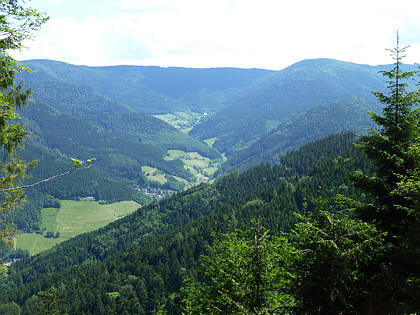 Black Forest Trailrun 2011