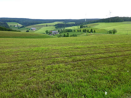 Black Forest Trailrun 2011