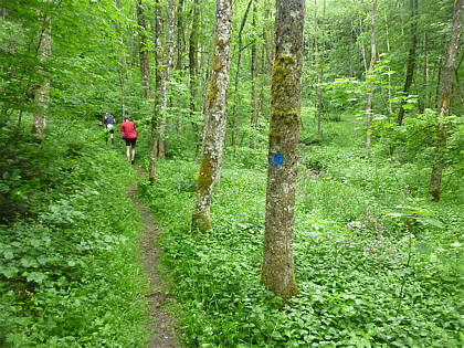 Black Forest Trailrun 2011