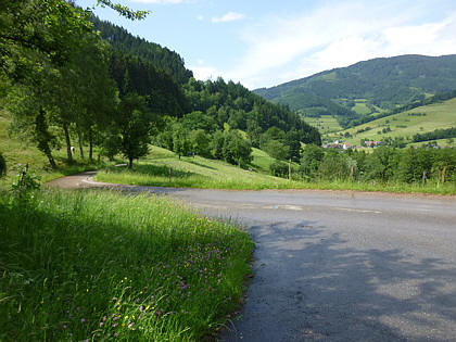 Black Forest Trailrun 2011