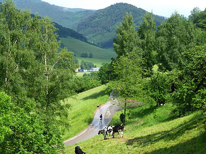 Black Forest Trailrun 2011