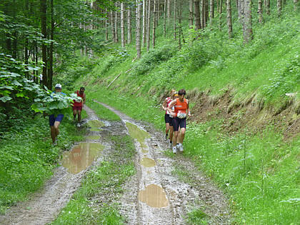 Black Forest Trailrun 2011