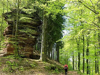 Grand Defi des Vosges 2011