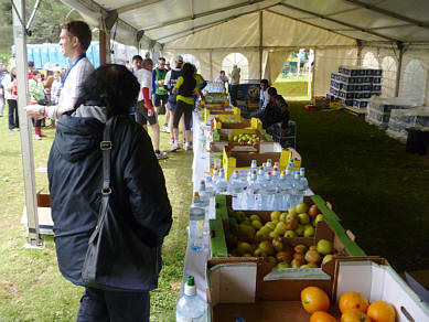 Jerusalem Marathon 2011