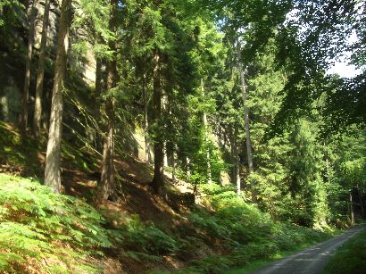 Panoramatour Schsische Schweiz