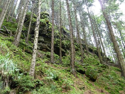 Panoramatour Schsische Schweiz