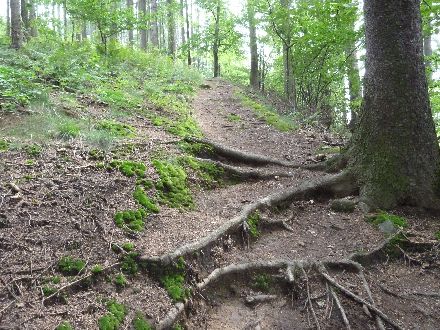 Panoramatour Schsische Schweiz