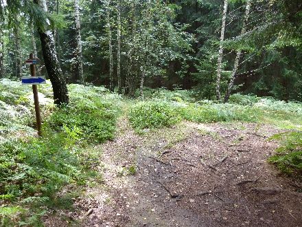 Panoramatour Schsische Schweiz