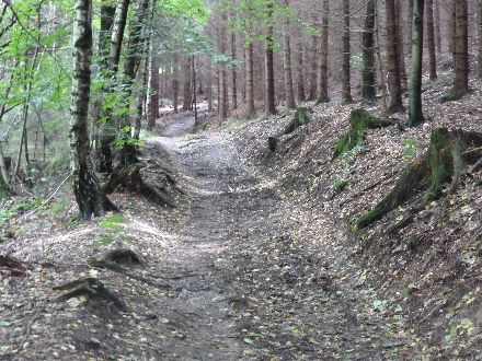 Panoramatour Schsische Schweiz