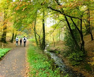 Rntgenlauf 2011