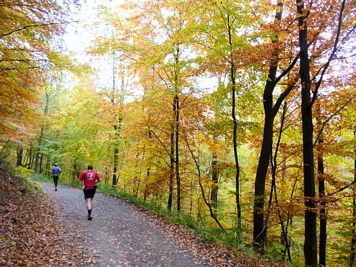 Rntgenlauf 2011