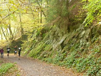 Rntgenlauf 2011