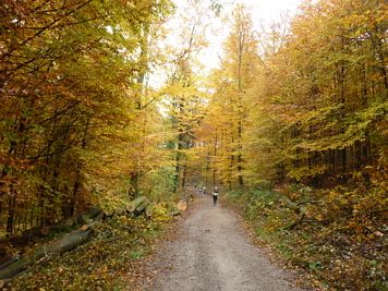 Rntgenlauf 2011