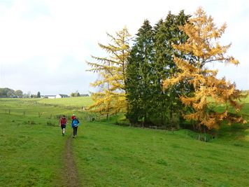 Rntgenlauf 2011