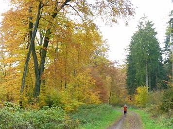 Rntgenlauf 2011