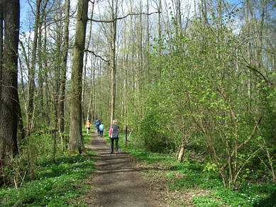 Spreewald Marathon 2011