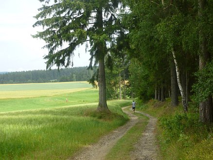 Fichtelgebirgs Marathon 2012