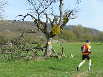 Grand Defi des Vosges 2012