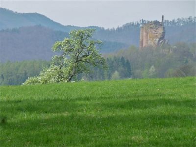 Grand Defi des Vosges 2012