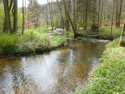 Grand Defi des Vosges 2012