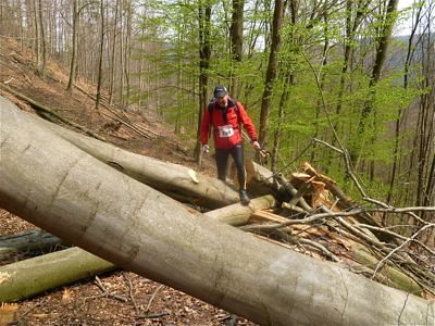 Grand Defi des Vosges 2012