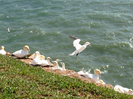 Helgoland Marathon 2012