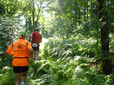 Hornisgrinde Marathon 2012