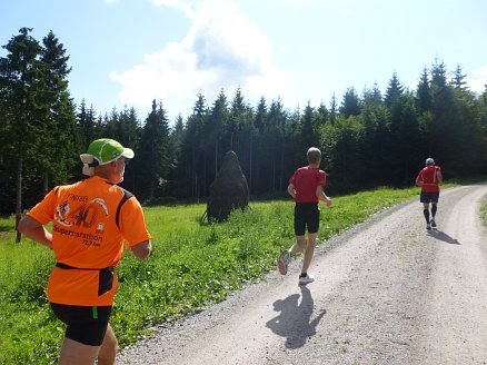 Hornisgrinde Marathon 2012