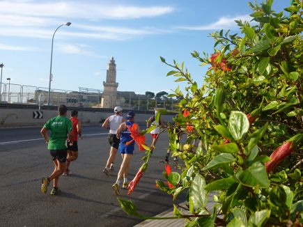 Mallorca Marathon 2012