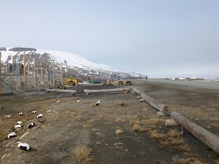 Spitzbergen Marathon 2012