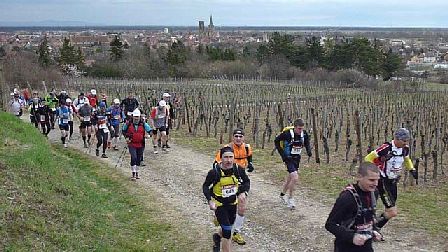 Trail du Petit Ballon 2012