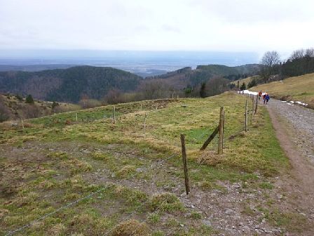 Trail du Petit Ballon 2012