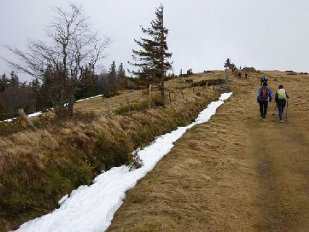 Trail du Petit Ballon 2012