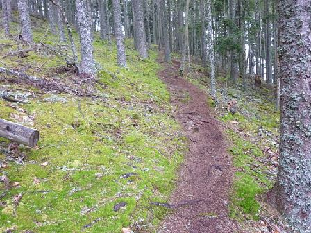 Trail du Petit Ballon 2012