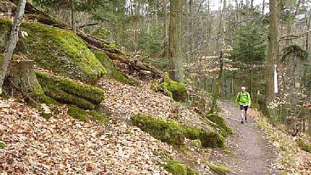 Trail du Petit Ballon 2012