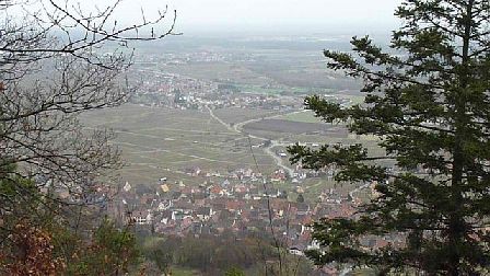 Trail du Petit Ballon 2012