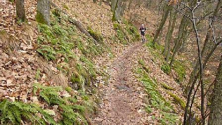 Trail du Petit Ballon 2012