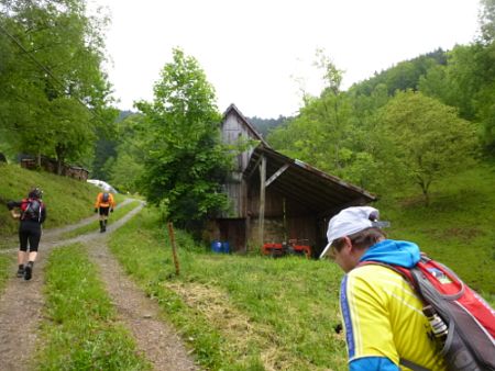 Black Forest Trail Maniak 2013