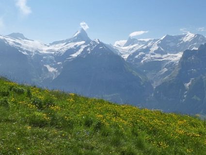 Eiger Ultra Trail 2013