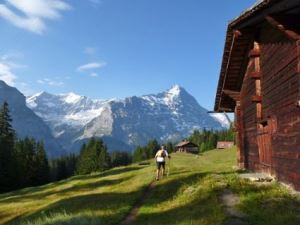 Eiger Ultra 2013