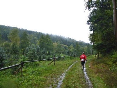 Pfalztrail 2013