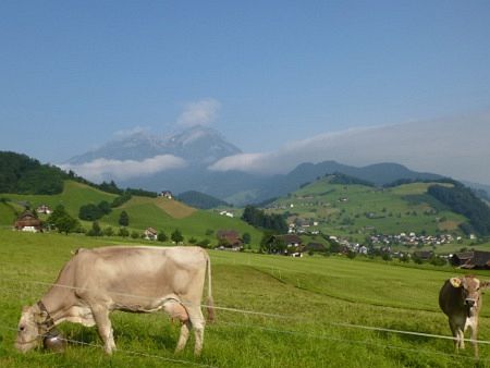 Stanserhorn Berglauf 2013