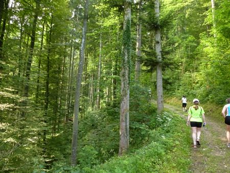 Stanserhorn Berglauf 2013