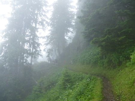 Stanserhorn Berglauf 2013