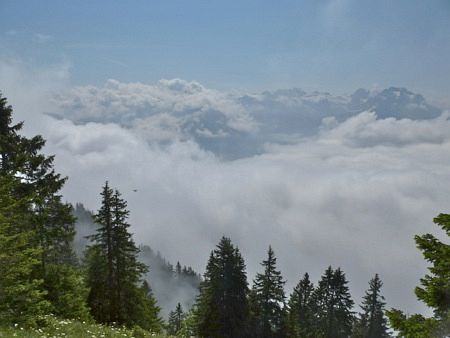 Stanserhorn Berglauf 2013