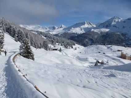 Swiss Snow Walk Run Arosa 2013