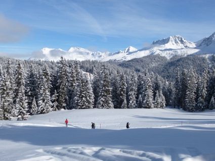 Swiss Snow Walk Run Arosa 2013