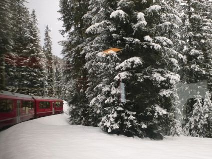 Swiss Snow Walk Run Arosa 2013