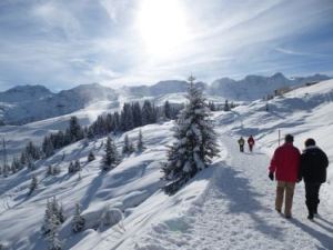 Swiss Snow Walk Run Arosa 2013