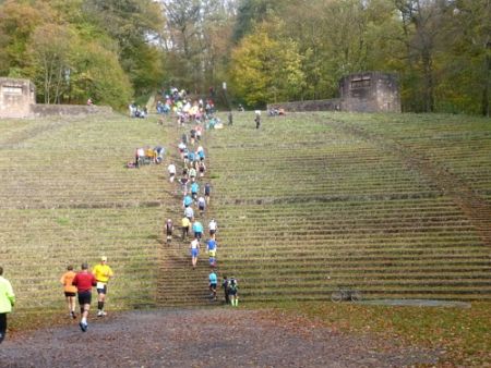 Trail Marathon Heidelberg 2013